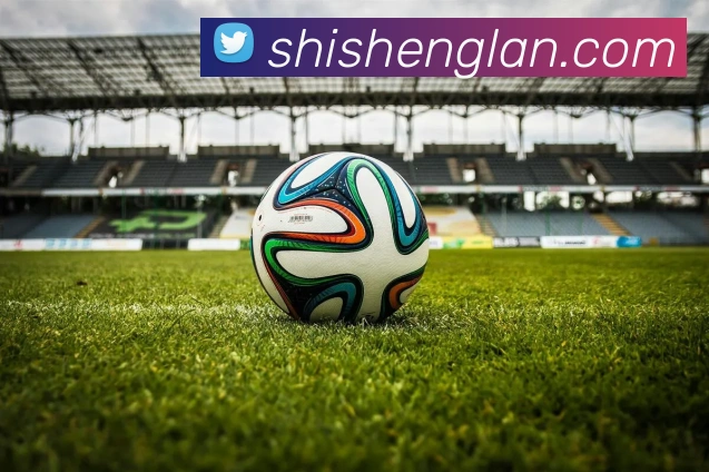 奖项证书